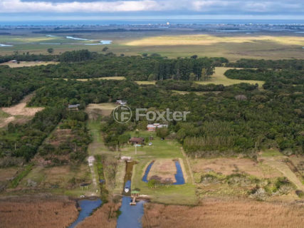 Image 8 - 1016482