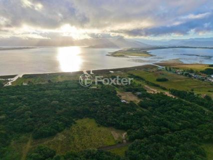 Image 4 - 1016482