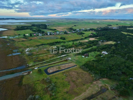 Image 13 - 1016482