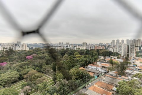 Image 3 - 1016593
