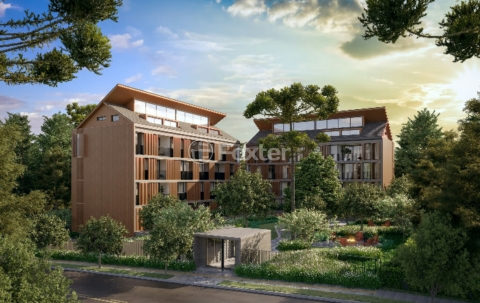 Image 0 - 1016816