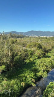 Image 3 - 1017104