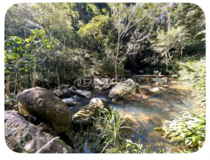 Image 35 - 1017114