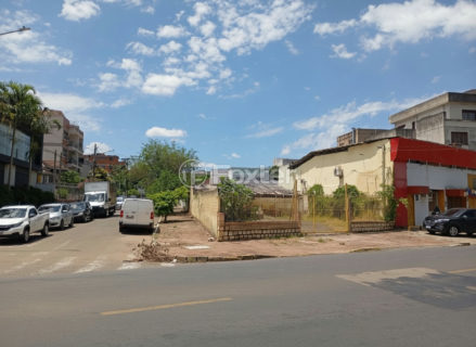 Image 10 - 1017156