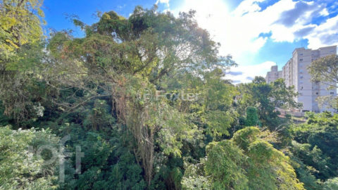 Image 31 - 1017299