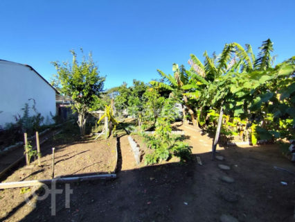 Image 7 - 1017474