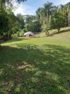Image 10 - 1017657