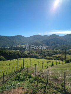 Image 7 - 1017689