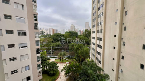 Image 31 - 1017732