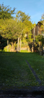 Image 16 - 1017763