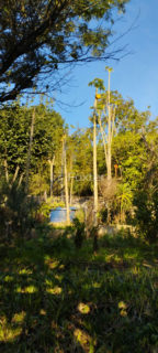 Image 17 - 1017763