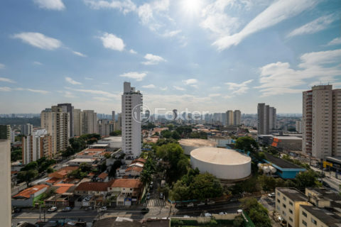 Image 28 - 1017891