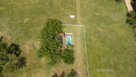 Image 4 - 1018089