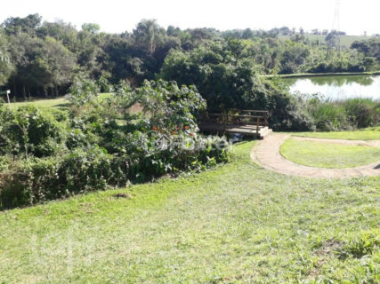 Image 3 - 1018169