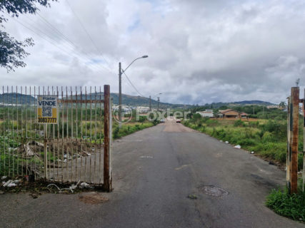 Image 3 - 1018472