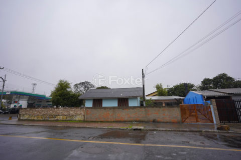 Image 19 - 1018783