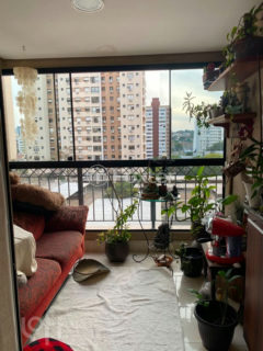 Image 12 - 1018923