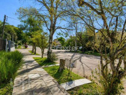 Image 8 - 1019159