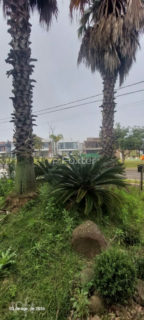 Image 18 - 1019210