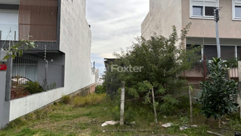 Image 11 - 1019216