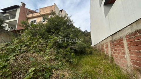 Image 2 - 1019216