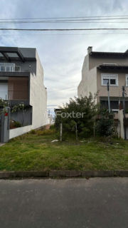 Image 3 - 1019216