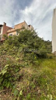 Image 7 - 1019216