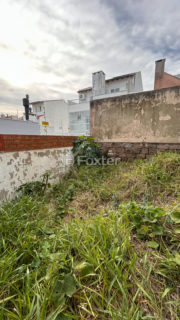 Image 6 - 1019216