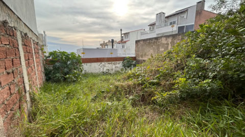 Image 13 - 1019216