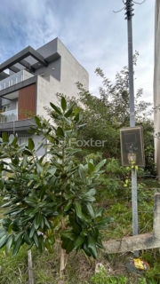 Image 10 - 1019216