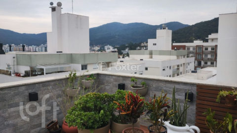 Image 13 - 1019251