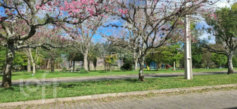 Image 9 - 1019387