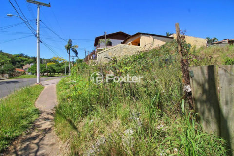 Image 4 - 1019406