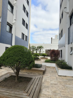 Image 33 - 1019442