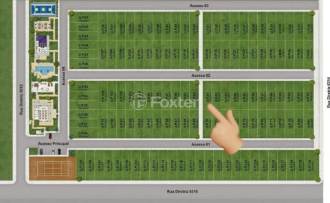 Image 4 - 1019446