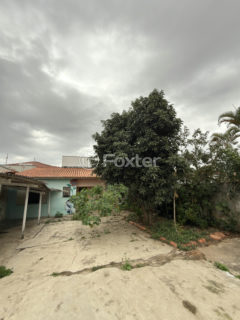 Image 17 - 1019463