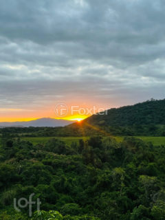 Image 3 - 1019613