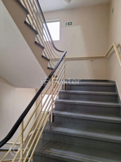 Image 25 - 1019669