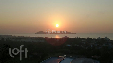 Image 9 - 1019722