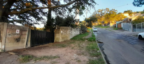 Image 2 - 1019848
