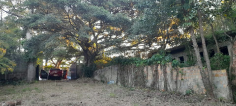 Image 11 - 1019848