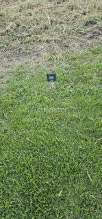 Image 3 - 1019900