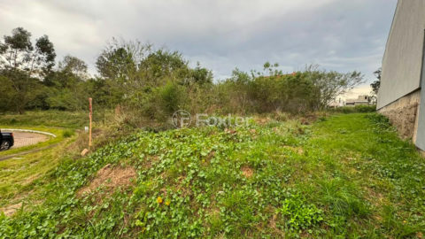 Image 0 - 1019944