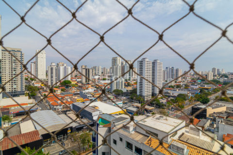 Image 33 - 1021227