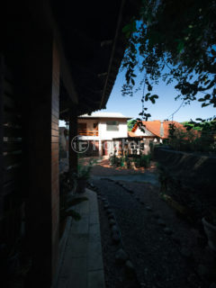 Image 13 - 1021292