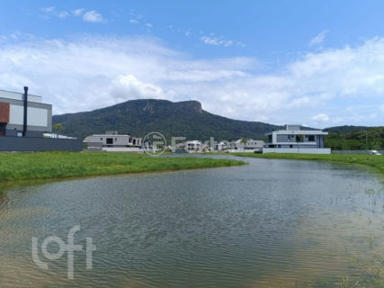 Image 46 - 1021453