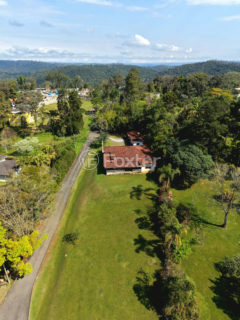 Image 4 - 1021673