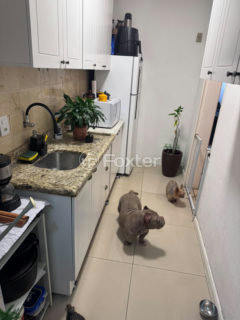 Image 3 - 1021772