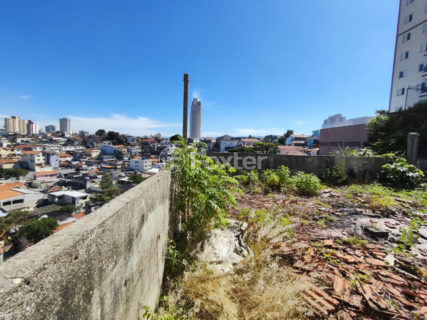 Image 13 - 1021913