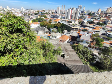 Image 18 - 1021913